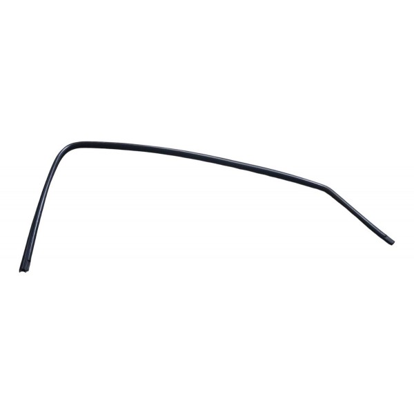 Borracha Canaleta Porta Dianteira Peugeot 206 2005 Direito