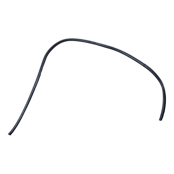 Borracha Canaleta Porta Traseira Peugeot 206 2005 Esquerdo Preto