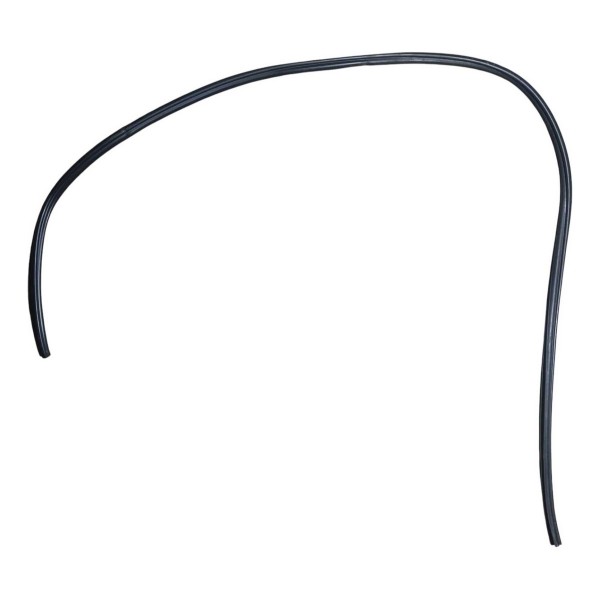 Borracha Canaleta Porta Traseira Peugeot 206 2005 Direito Preto