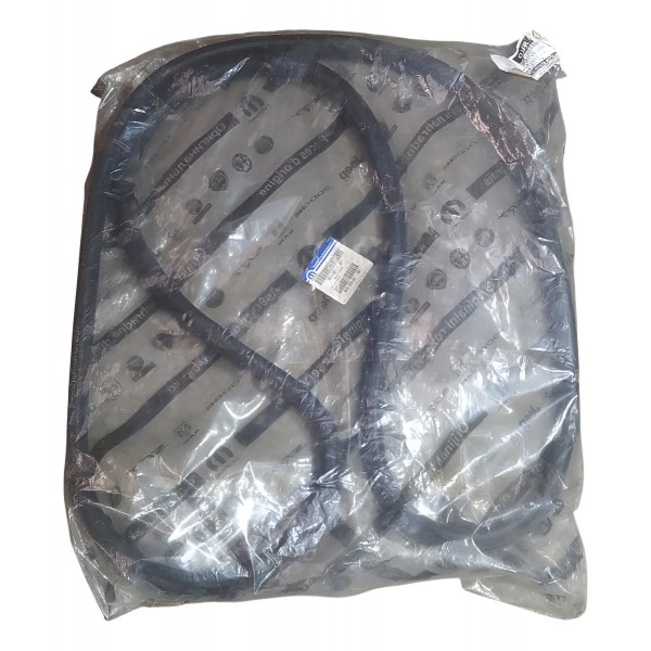 Borracha Porta Dianteira Direita Fiat Palio Siena 51938601
